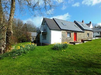 A stone cottage with a red door and garden with yellow flowers at Pond Cottage in New Quay Ceredigion