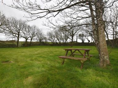 A grassy outdoor area with a wooden picnic table and leafless trees at The Old Farmhouse Kitchen in St Davids Pembrokeshire