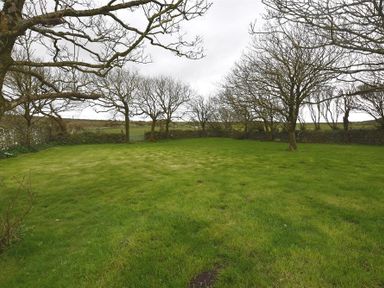 A grass lawn area with scattered leafless trees and a stone wall in the background at The Old Farmhouse Kitchen in St Davids Pembrokeshire
