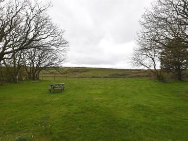 A grassy field with a picnic table and leafless trees at The Old Farmhouse Kitchen in St Davids Pembrokeshire