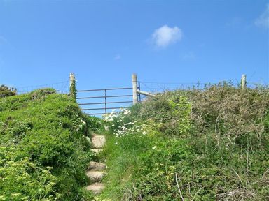 A pathway with stone steps leading to a metal gate between grassy and bushy hills at The Old Farmhouse Kitchen in St Davids Pembrokeshire