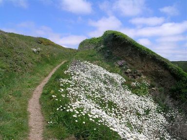 A narrow dirt path running through grassy hills with white flowers under a partly cloudy sky