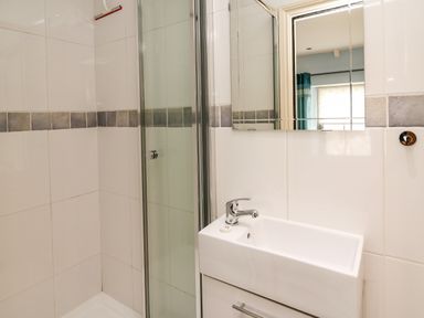 A bathroom with a small sink, a mirrored cabinet, and a shower enclosure at Nevern House in Newport Pembrokeshire