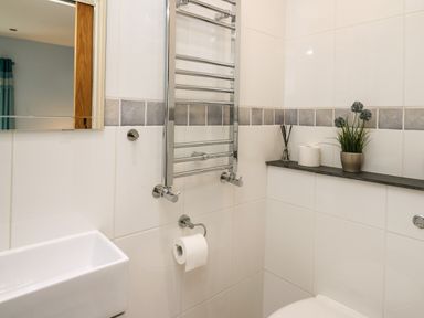 A bathroom with a white sink a towel rack a toilet paper holder and a shelf with a plant and toilet paper at Nevern House in Newport Pembrokeshire
