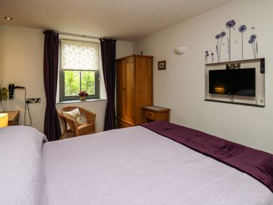 A bedroom with a bed covered in a purple blanket a wicker chair by a window with curtains a wooden wardrobe a wall-mounted TV and floral wall decals at Nevern House in Newport Pembrokeshire
