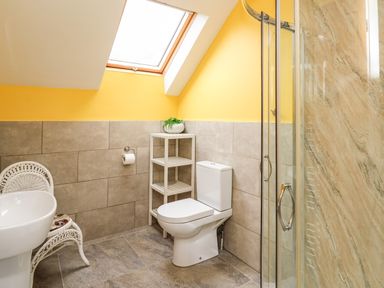 A bathroom with a toilet sink white shelving unit chair and shower at Nevern House in Newport Pembrokeshire