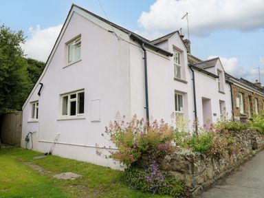 A white cottage with multiple windows a grassy area and a stone flower bed at Panteg Cottage Newport
