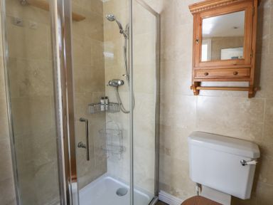 A bathroom with a shower and toilet at Dolwylan Newport, Pembrokeshire