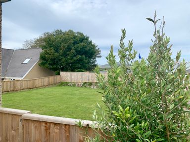 A fenced backyard with green grass a small tree and a house with a sloped roof at Greenfields in St Davids Pembrokeshire