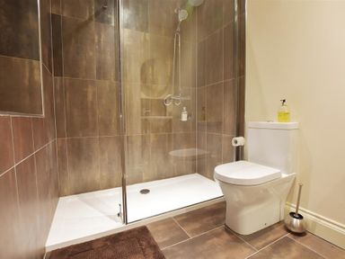 A bathroom with a walk-in shower and a toilet at Gwelfor Newport in Newport Pembrokeshire