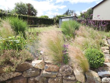 A garden with ornamental grasses stone wall and a shed at Ty Cerrig in Newport Pembrokeshire