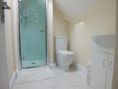 A bathroom with a shower enclosure a toilet and a sink cabinet at Tremynydd Fawr in St Davids Pembrokeshire