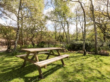 A wooden picnic table on a grassy area surrounded by trees at Meadowlands in Dinas Cross Pembrokeshire