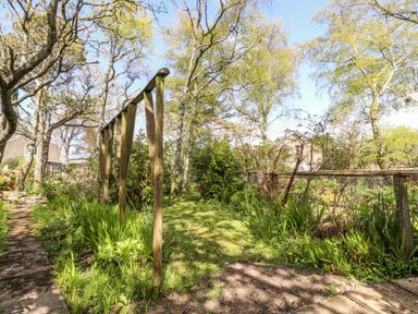 A garden with trees bushes and a wooden frame at Meadowlands in Dinas Cross Pembrokeshire
