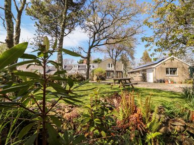 A garden with trees plants and a picnic table in front of two houses at Meadowlands in Dinas Cross Pembrokeshire