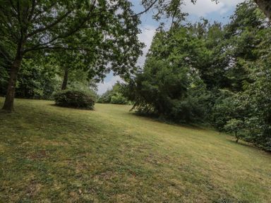 A garden with trees and grass at Panteg, Cardigan Llangoedmor Cardigan