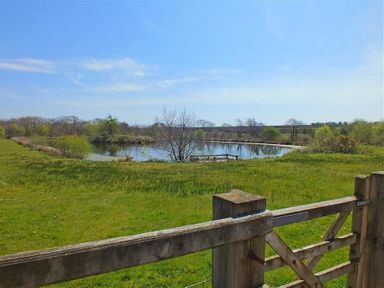 A fenced grassy area with a pond surrounded by trees and bushes at Sarnau in Efailwen Carmarthenshire