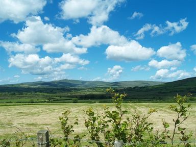 A rural field with bushes along a fence under a blue sky with clouds and hills in the background at Sarnau in Efailwen Carmarthenshire