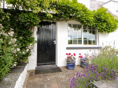 An entrance with a black door and flower pots at Beach Retreat in Aberporth