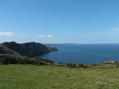 A coastal landscape with cliffs overlooking the ocean and a grassy field in the foreground at Panteurig Cottage Strumble Head Goodwick Pembrokeshire