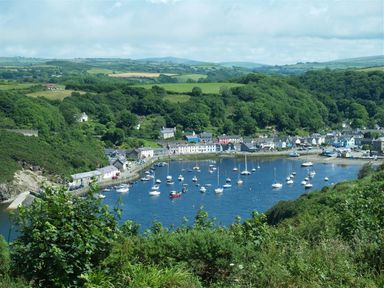 A coastal village with boats in a harbor surrounded by green hills at Panteurig Farmhouse in Strumble Head Goodwick Pembrokeshire