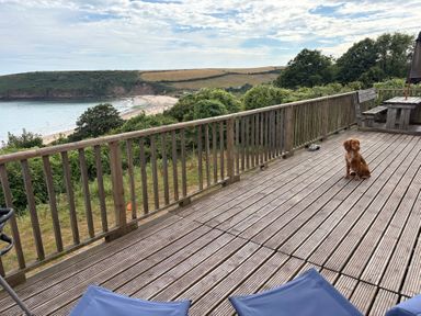 An outdoor area with decking and a dog at Beach Cove Freshwater East, Pembrokeshire