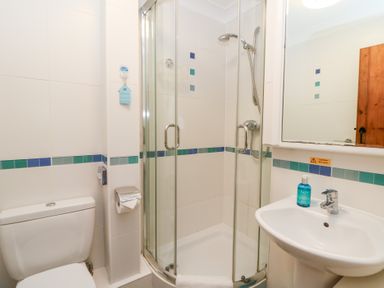 A bathroom with a toilet shower enclosure and sink at 5 The Coach House in Broad haven Pembrokeshire