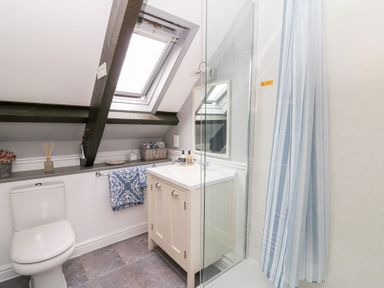 A bathroom with a toilet sink cabinet shower and skylight at 5 The Coach House in Broad haven Pembrokeshire
