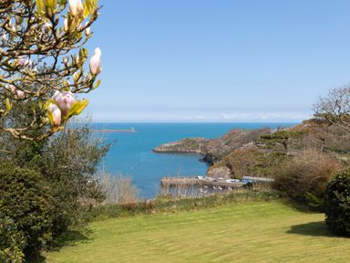 A coastal view with a flowering tree a grassy area and rocky hills by the sea at The Rock House in Fishguard Pembrokeshire
