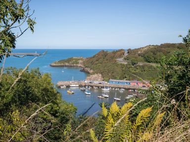 A coastal harbor with boats docked and colorful buildings along the shore surrounded by trees and hills at The Rock House in Fishguard Pembrokeshire
