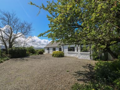A gravel driveway with trees and bushes surrounding a white stone cottage at Ty-Newydd Cottage in Nevern near Newport Pembrokeshire
