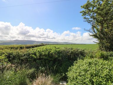A field with green bushes and a tree under a blue sky at Ty-Newydd Cottage in Nevern near Newport Pembrokeshire