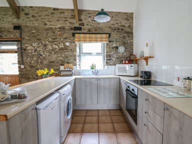 A kitchen with appliances and stone wall at Trawsnant Cottage in New Quay Ceredigion