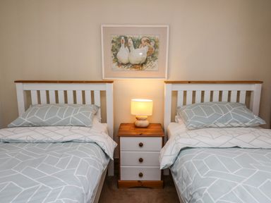 A bedroom with two single beds separated by a wooden nightstand with a lamp and a duck painting above at Trawsnant Cottage New Quay Ceredigion