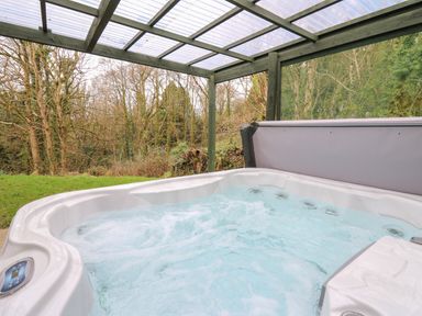 An outdoor hot tub with bubbling water under a transparent roof near trees at Trawsnant Cottage in New Quay Ceredigion