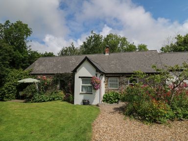 A cottage with a gravel pathway and garden with flowers at Trawsnant Cottage in New Quay Ceredigion