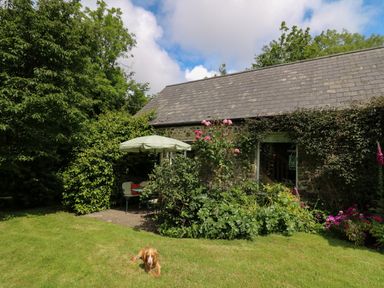 A garden with green grass a dog sitting near a stone cottage with plants and an umbrella at Trawsnant Cottage in New Quay Ceredigion