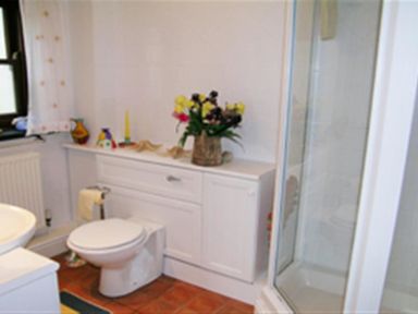 A bathroom with toilet sink shower and a cabinet with flowers on top at Cockshead Cottage in St Dogmaels Pembrokeshire