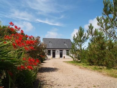 A gravel driveway leading to a house with a slate roof surrounded by trees and red flowers at Cockshead Cottage in St Dogmaels Pembrokeshire