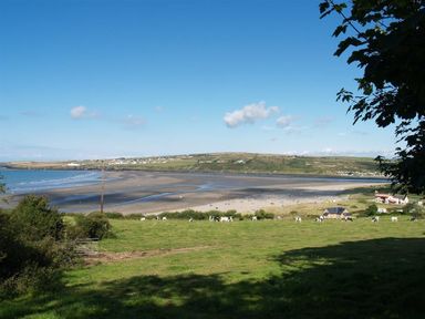 A coastal scene with grassy field cows and buildings near a sandy beach at Cockshead Cottage in St Dogmaels Pembrokeshire