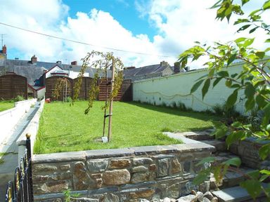 A garden with a small tree on grass surrounded by a low stone wall and a white brick wall at Stable Cottage Cardigan in Cardigan Ceredigion