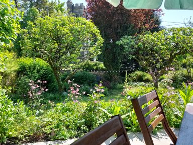A garden with two trees pink flowers and wooden chairs at 1 Cheriton Row Carew Cheriton Nr Tenby Pembrokeshire