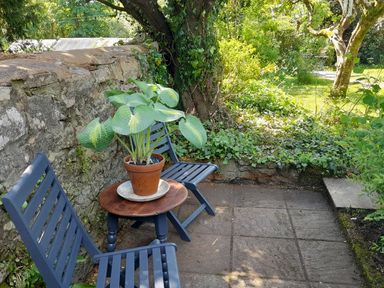 An outdoor seating area with two blue chairs a small round wooden table with a potted plant on it beside a stone wall in a garden