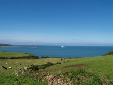 A coastal landscape with grassy fields cattle a fence a pier and a boat on the water at Cable Cottage in Fishguard Pembrokeshire