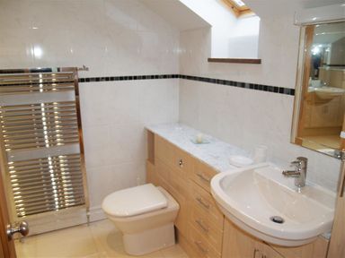 A bathroom with a toilet sink mirror and heated towel rail at Cable Cottage in Fishguard Pembrokeshire