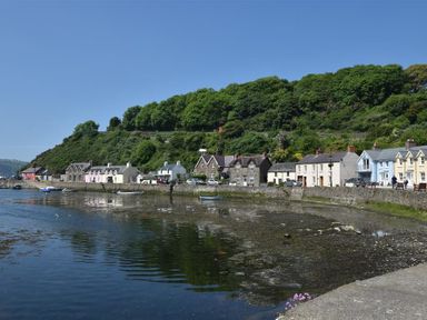 A coastal village with houses along the waterfront and a hill covered with trees at Cable Cottage in Fishguard Pembrokeshire