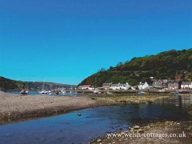 A coastal village with boats on the water and houses near a wooded hill at Cable Cottage in Fishguard Pembrokeshire