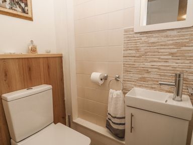 A bathroom with a toilet, a small sink with a faucet, a hand towel on a ring, and a toilet paper holder at 9 Manorcombe Bungalows St Ann's Chapel near Callington