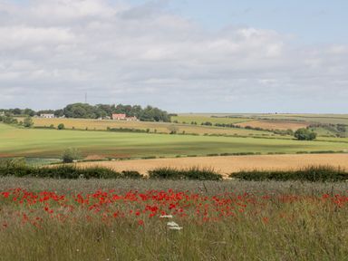 A countryside landscape with fields and red flowers in the foreground at Scarborough Cottage in Driffield