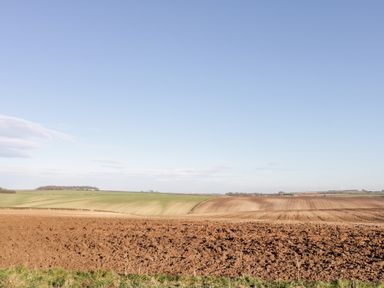Plowed and green fields under a blue sky at Scarborough Cottage in Driffield